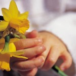 child holding daffodils @meredithspidel