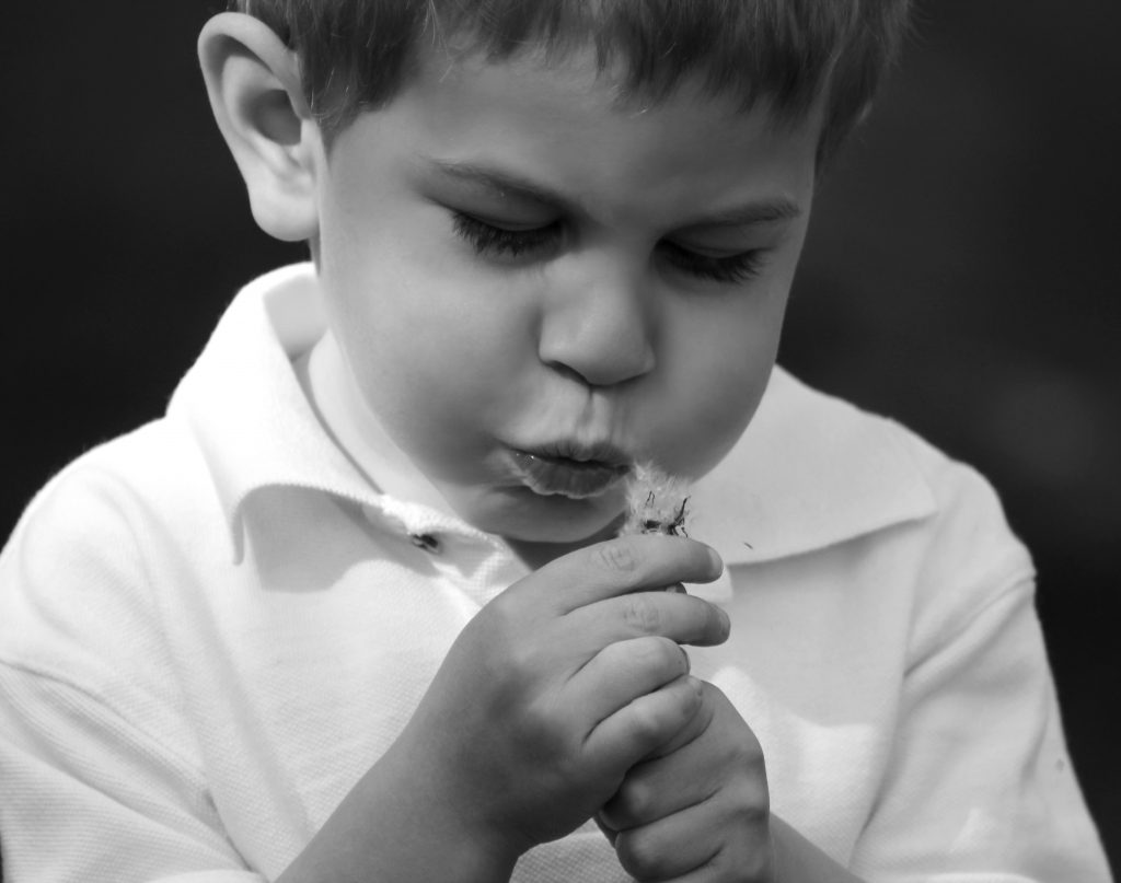 son blowing dandelion @meredithspidel