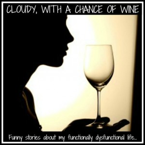 Cloudy With a Chance of Wine @meredithspidel @chanceofwine