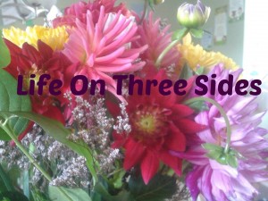 Life on Three Sides @Lifeon3sides @meredithspidel