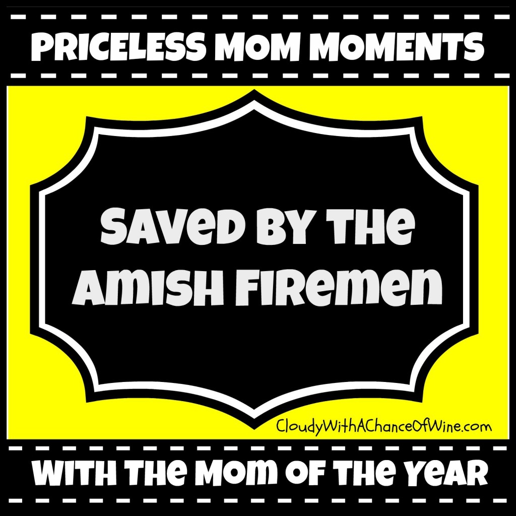 Saved by the Amish Firemen @chanceofwine @meredithspidel