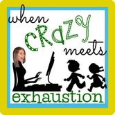 When Crazy Meets Exhaustion @meredithspidel @crazyexhaustion Blog Button