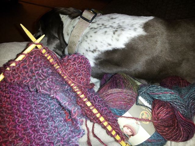 And then she cuddles with me while I knit...yes, I knit. #lamest34yr.oldEVER