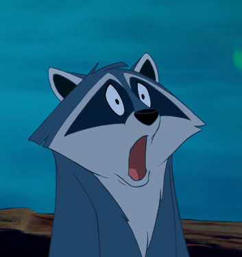 Meeko from Pocahontas captures my feelings exactly.  Here's what too do if an unwanted creature sneaks into your home in the middle of the night--cute shocked faces included!