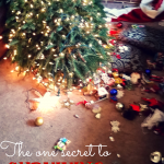 Surviving all the stress and craziness of the holidays is no joke. Downed Christmas trees and all, I think I'm onto a valuable trick to help see us through. Tune in here--and grab a glass of eggnog to help us toast our survival!