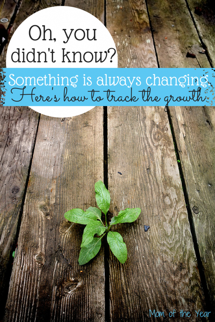 Sometimes it feels like, as adults, our lives can stagnant. Here's why that is isn't true. Look for the growth in your life with this insight and FIND IT. It's there, trust me ;)