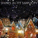 In our neck of the woods, there is a gorgeous, teeny house that shines brightly with the holiday spirit above all others. It is sweet, simple, and perfect. Embrace the elegant perfection for your own holiday spirit now!