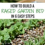 Wanting to build a raised garden bed for your home vegetable garden, but aren't sure where to start? Here is the easy step-by-by step how-to guide to build your own--the very cheap, economical way! Take an afternoon and get ready to dig into your own fresh, home-grown produce with these easy steps!