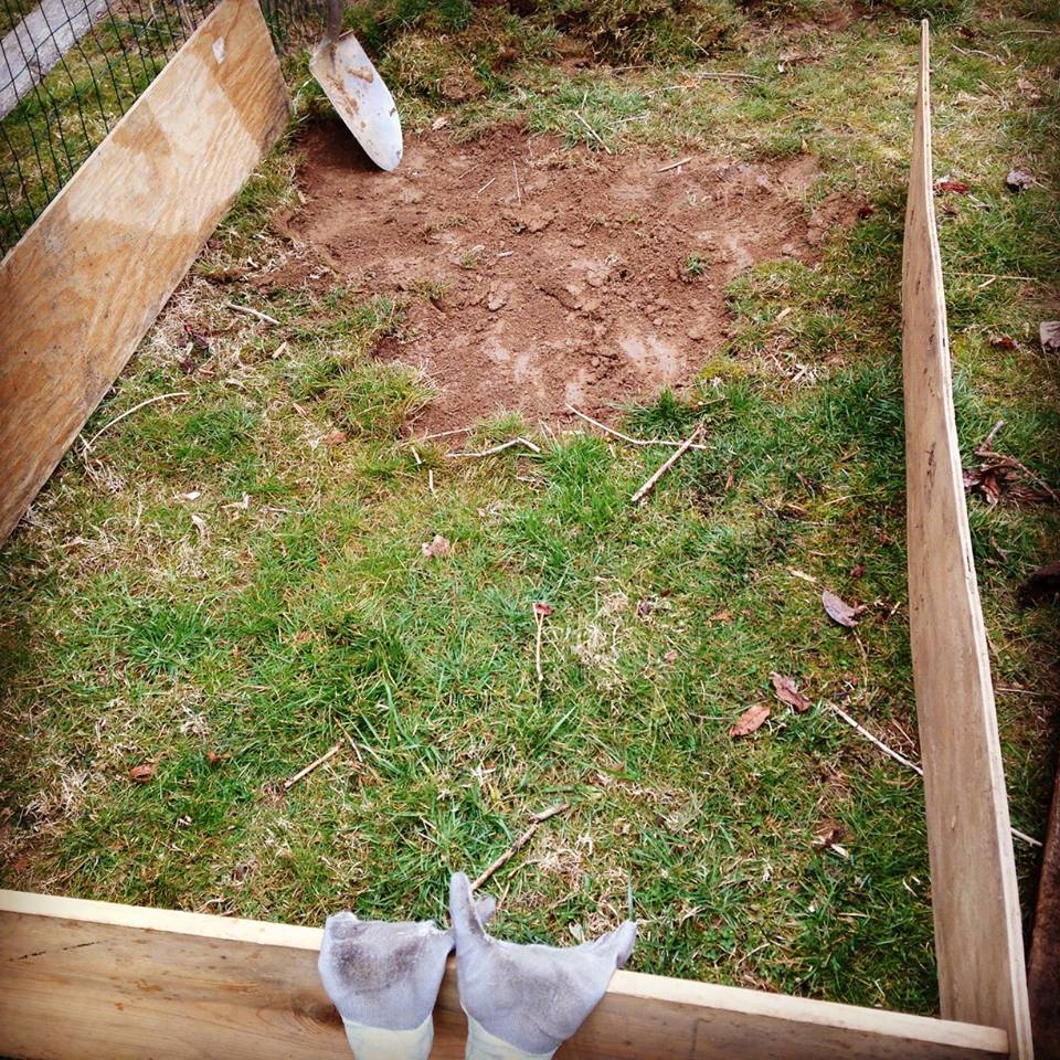 Wanting to build a raised garden bed for your home vegetable garden, but aren't sure where to start? Here is the easy step-by-by step how-to guide to build your own--the very cheap, economical way! Take an afternoon and get ready to dig into your own fresh, home-grown produce with these easy steps!