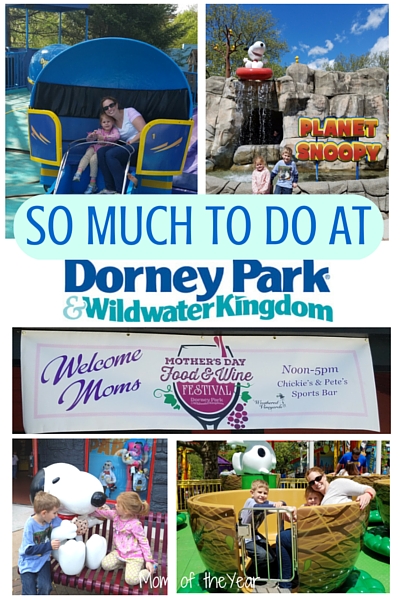 Looking for the perfect family day trip or family vacation? Dorney Park is the perfect theme park/amusement park to visit! With all the fun stuff at Planet Snoopy for children's entertainment, plus everything else the park has to offer, you can't go wrong. Sneak over to this page for the trick to get a ton of savings on tickets!