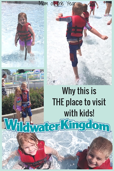 Looking for some local fun for the kids this summer? The rides, events, and promotions for kids at Dorney Park and Wildwater Kingdom is perfect! They get to play at a super amusement park and water park, while having fun in the sun! A wonderful way to celebrate the summer! Check out the cool deal going on now--you won't believe it!