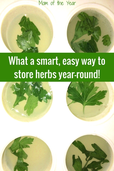 Have a bunch of fresh herbs on hand from your garden and want to store them to use throughout the year? Check these five genius, EASY ways to preserve herbs in your own home and enjoy them all year long. From dried herbs to freezing herbs, these are fantastic ideas! I would NEVER have thought of the third method!