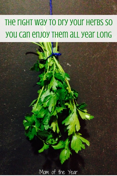 Have a bunch of fresh herbs on hand from your garden and want to store them to use throughout the year? Check these five genius, EASY ways to preserve herbs in your own home and enjoy them all year long. From dried herbs to freezing herbs, these are fantastic ideas! I would NEVER have thought of the third method!