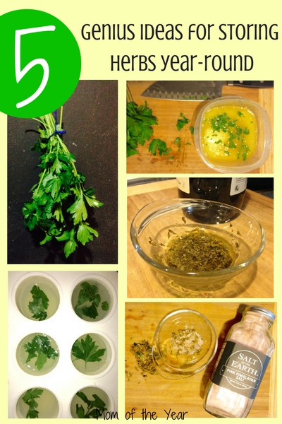 Have a bunch of fresh herbs on hand from your garden and want to store them to use throughout the year? Check these five genius, EASY ways to preserve herbs in your own home and enjoy them all year long. From dried herbs to freezing herbs, these are fantastic ideas! I would NEVER have thought of the third method!