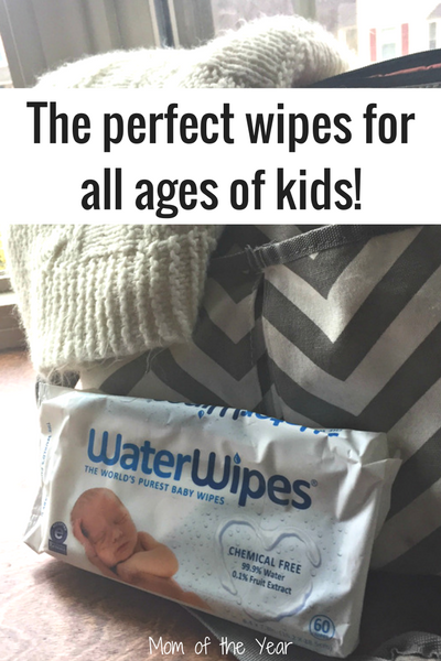 Looking for a pure and healthy baby wipe for your baby? These gentle, natural, chemical-free pure baby wipes are a win for children of all ages. Check in here for the whole scoop on how to score them for an economical price. Gotta love these bargain savings on baby care!