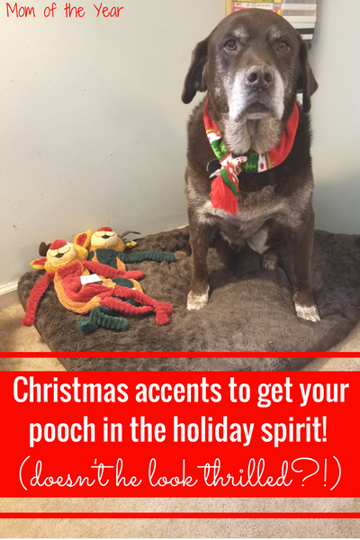 It's time to break out the Christmas decorations! This is the perfect way to stock up on holiday home decor with some special touches and timeless, nostalgic accents to decorate your home and ring in the Christmas spirit!