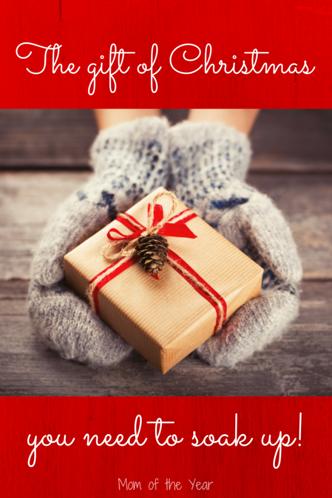 The Christmas season is so busy and full, but this easy go-to collection of the best Christmas reads helps you find exactly what you are in the mood for--laughs, smiles, and comfort all included. And all super-short posts too, so no time stress! Don't miss the one about the near-death experience with wrapping paper!