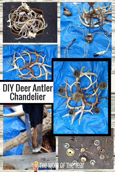 Diy Deer Antler Chandelier The Mom Of, How To Make A Lamp Out Of Deer Horns