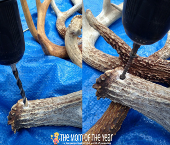 diy deer antler chandelier - the mom of the year