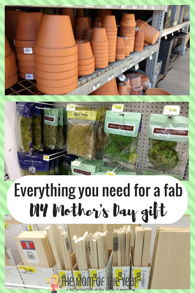 Need the perfect Mother's Day gift? These flower DIY Mother's Day gifts are such a hit with moms and grandmas alike! Get the kids ready for a fun project and save money with this super idea for DIY project!