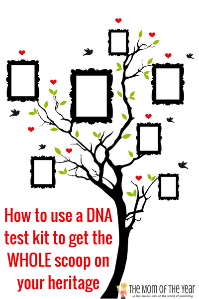 Curious to know what your family heritage and ethnicity really is? These DNA test kits are so easy to use, affordable (discount included!) and have a few cool bonus features that make exploring your genetic line fun and so informative! The coolest genetic mapping research I've found!