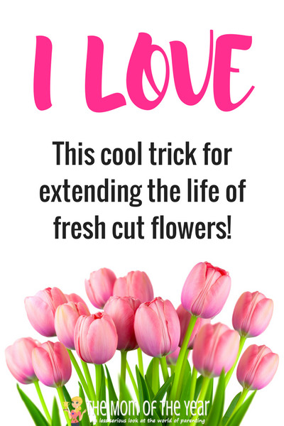 Keep your family healthy this summer by using these 4 cleaning tricks to keep outdoors germs at bay! And you will LOVE this cool trick for helping extend the life of fresh-cut flowers! Time to go enjoy all that gorgeous sunshiny fun!