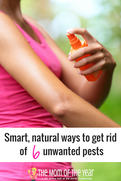 Tired of summer bugs? Check out these cool, natural ways to get rid of insects! You will love the sweet results and moreover, delight in the genius of these natural bug-repellent remedies.