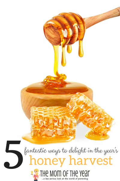 Honey Harvest time is here! One of the first harvests of the fall season, grab these 5 ways to celebrate and delight in fresh, raw honey! Bees and beekeepers work really hard and it's time to enjoy the spoils of their labor--I love the 3rd idea!