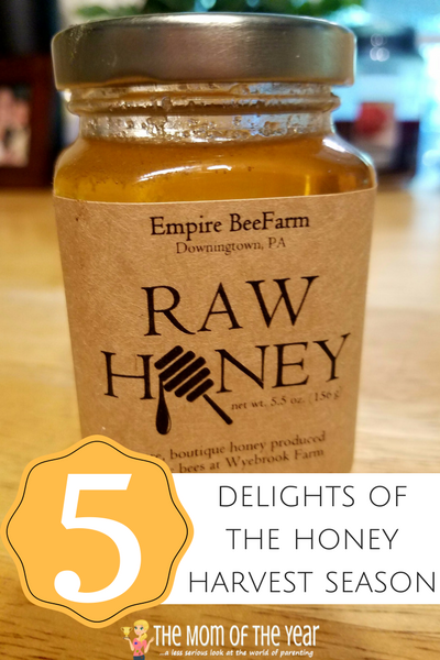 Honey Harvest time is here! One of the first harvests of the fall season, grab these 5 ways to celebrate and delight in fresh, raw honey! Bees and beekeepers work really hard and it's time to enjoy the spoils of their labor--I love the 3rd idea!