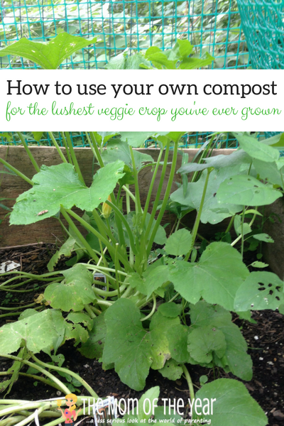 Always been interested in composting, but not sure where to start? We've got the easy how-to here! All your questions answered about how to start a compost pile. Your garden will thank you with an abundance of healthy vegetables!