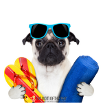 Looking to plan the perfect summer vacation? Done! Grab these smart, must-know trips and planning hacks and a fantastic family vacation is in the bag! Plus, make sure to check out the money-saving hacks to keep your trip budget-friendly!