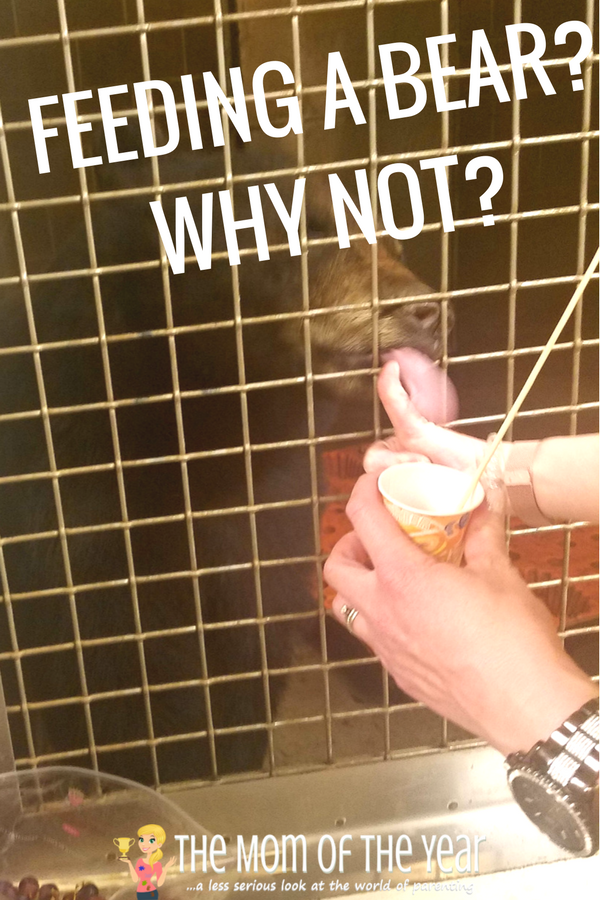 ZooAmerica's 40th Anniversary is happenning! Such a cool, family-friendly zoo that is the perfect spot for a day out with the kiddos! Go enjoy your family day out, mama!