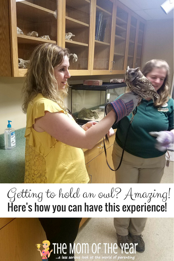 ZooAmerica's 40th Anniversary is happenning! Such a cool, family-friendly zoo that is the perfect spot for a day out with the kiddos! Go enjoy your family day out, mama!