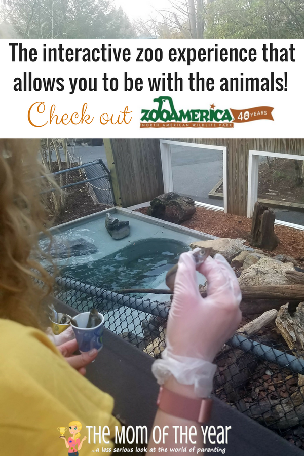 ZooAmerica's 40th Anniversary is happenning! Such a cool, family-friendly zoo that is the perfect spot for a day out with the kiddos! Go enjoy your family day out, mama!