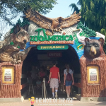 ZooAmerica's 40th Anniversary is happenning! Such a cool, family-friendly zoo that is the perfect spot for a day out with the kiddos! Go enjoy your family day out, mama!