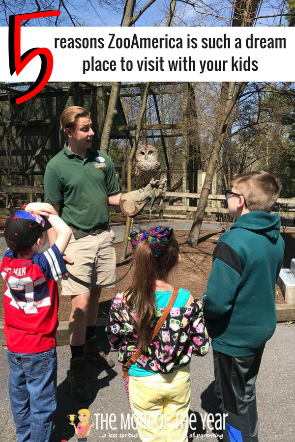 ZooAmerica's 40th Anniversary is happenning! Such a cool, family-friendly zoo that is the perfect spot for a day out with the kiddos! Go enjoy your family day out, mama!