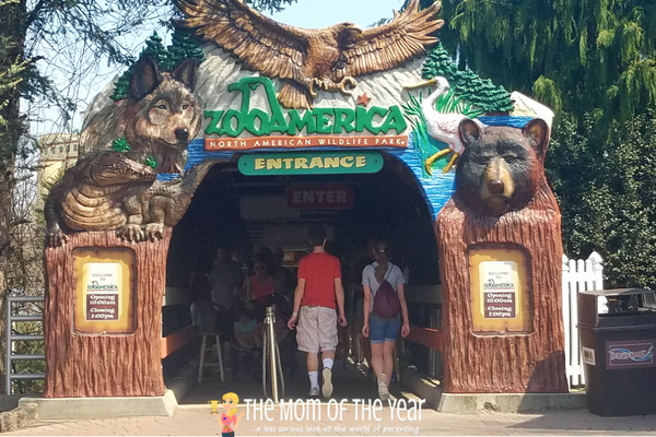 ZooAmerica's 40th Anniversary is happenning! Such a cool, family-friendly zoo that is the perfect spot for a day out with the kiddos! Go enjoy your family day out, mama!