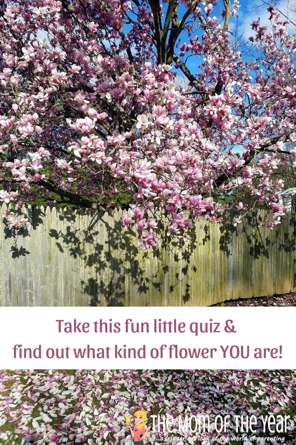 Spring and the start of summer is the perfect time to delight in all of the gorgeous flower blooms! Take a fun minute to pause and channel your inner flower child with this sweet, "What Type of Flower Are You?" quiz! And let me know what your result was--I was so suprised by mine!