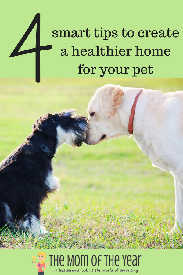 Creating a healthier pet-friendly home for our furry family members is so important! We love them so, and want what's best for our pets--make sure to take a minute to check out this important how-to to make your home safe for your fur babies!