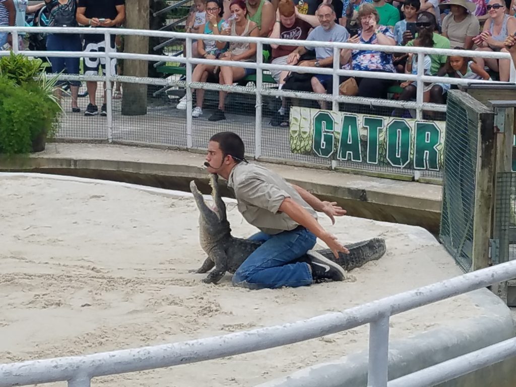 Not sure how to plan your first-time visit to Gatorland? The whole schoop you need, plus 10 super-smart tips here to help you make the most of your visit and enjoy the day! Tip #7 is genius--made our day go far more smoothly!
