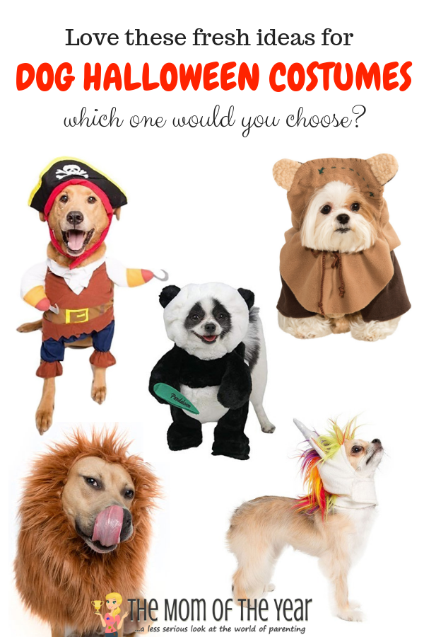 Pet Costumes to Win Halloween! - The Mom of the Year