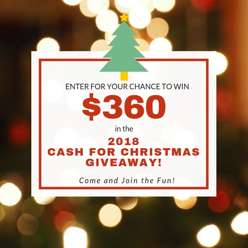 It's time for a Christmas giveaway! Are you getting geared up for the shopping season? Do you need extra cash for Christmas?? Don't we all! Go budget-friendly and score for your family!