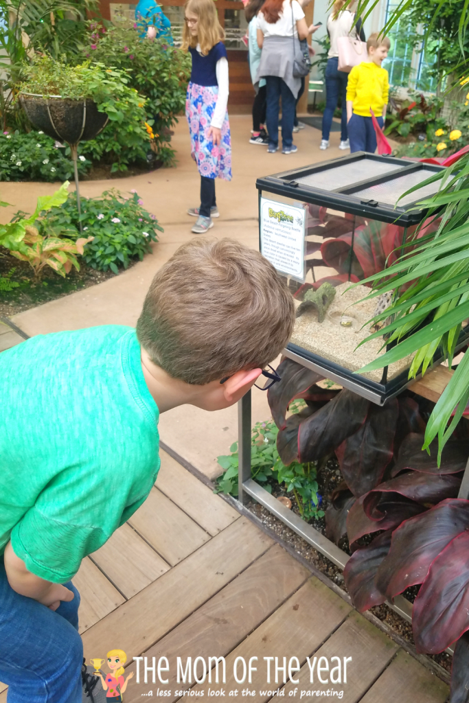 Visit the Hershey Gardens for a fun, kid-friendly stop! Here are 5 reasons you'll love this gorgeous spot. I'll bet you know about the Butterfuly Atrium, but have you heard about the cool surprise at Hoop House?