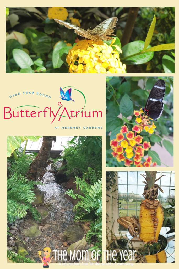 Visit the Hershey Gardens for a fun, kid-friendly stop! Here are 5 reasons you'll love this gorgeous spot. I'll bet you know about the Butterfuly Atrium, but have you heard about the cool surprise at Hoop House?