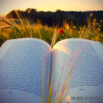 We're so excited to have you join our The Layover Book Club discussion! And make sure to check out our next book pick and chime in on the book club discussion questions! And pssst...there's a FREE book up for grabs!