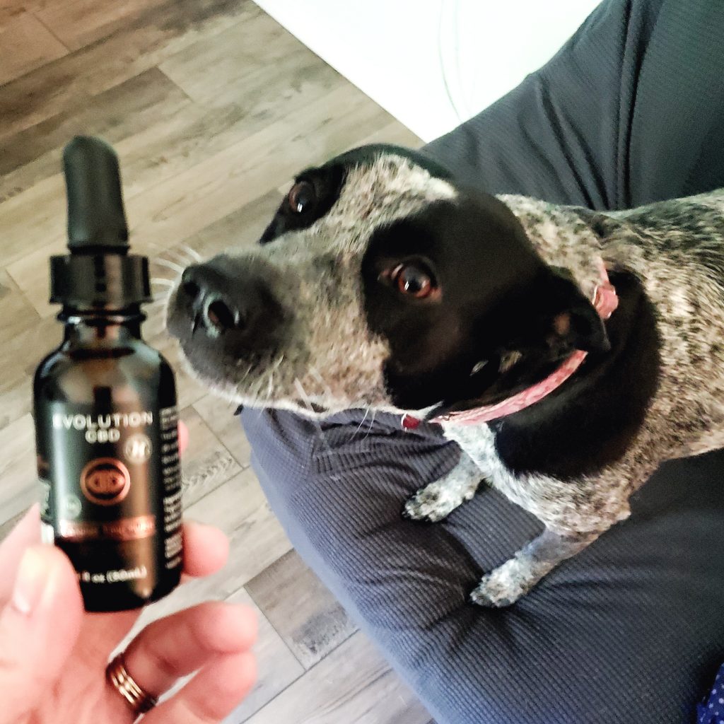 Curious if CBD can help your dog? Me too! Check out these 9 reasons why it can work so well--I was shocked!