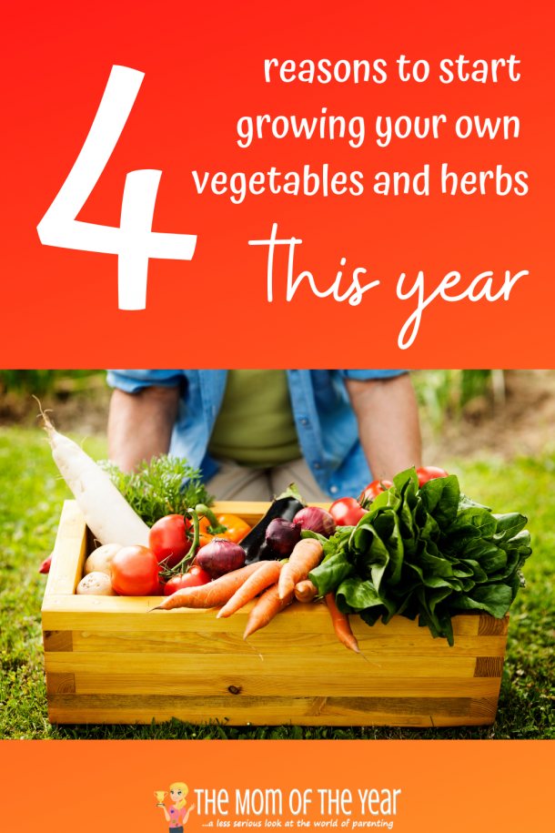 4 Reasons to Grow Your Own Vegetables and Herbs at Home The Mom of