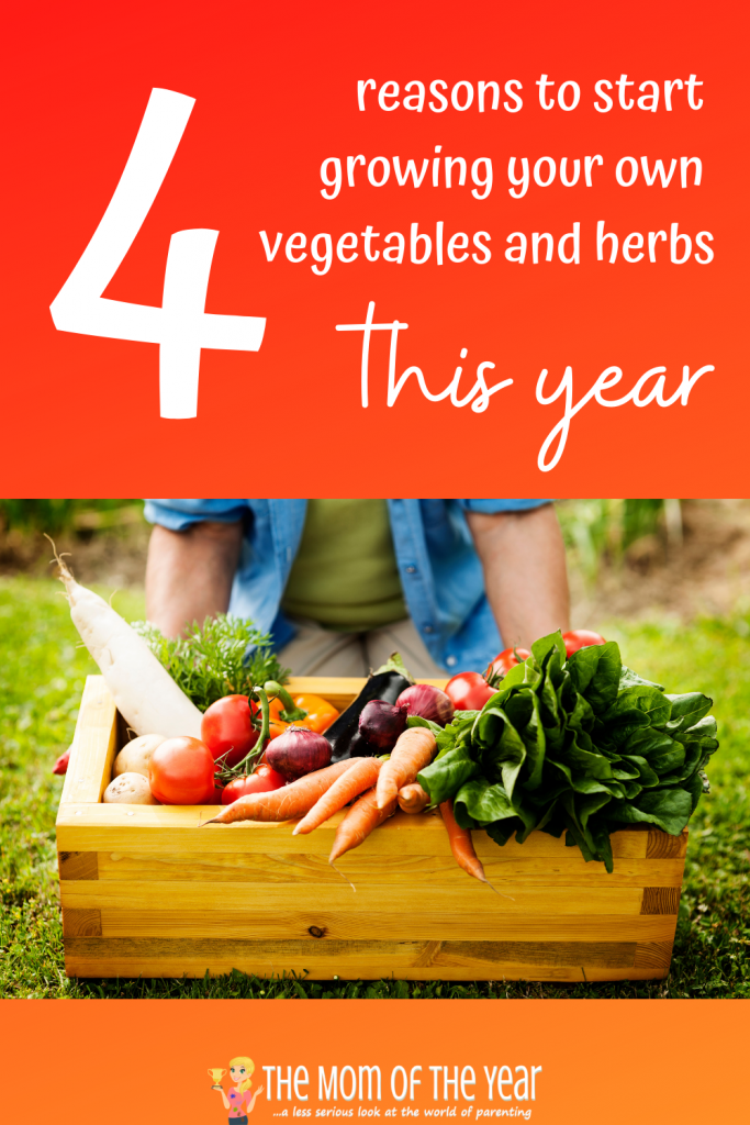 On the fence about starting a garden? Check out these 4 reasons to grow your own vegetables and herbs and you will be sold. #4 floored me!