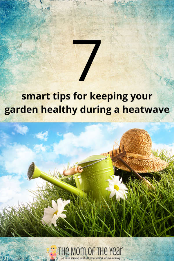 Try these 7 smart hacks to keeping your summer garden healthy during a heatwave--they work! I never knew this about replanting!