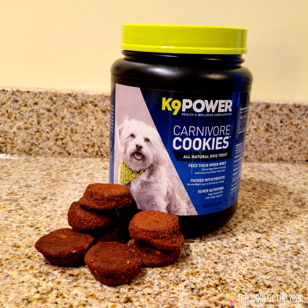 New year, new dog! Want a happier, healthier dog? Check out this smart way to keep your dog active and powering through his days!